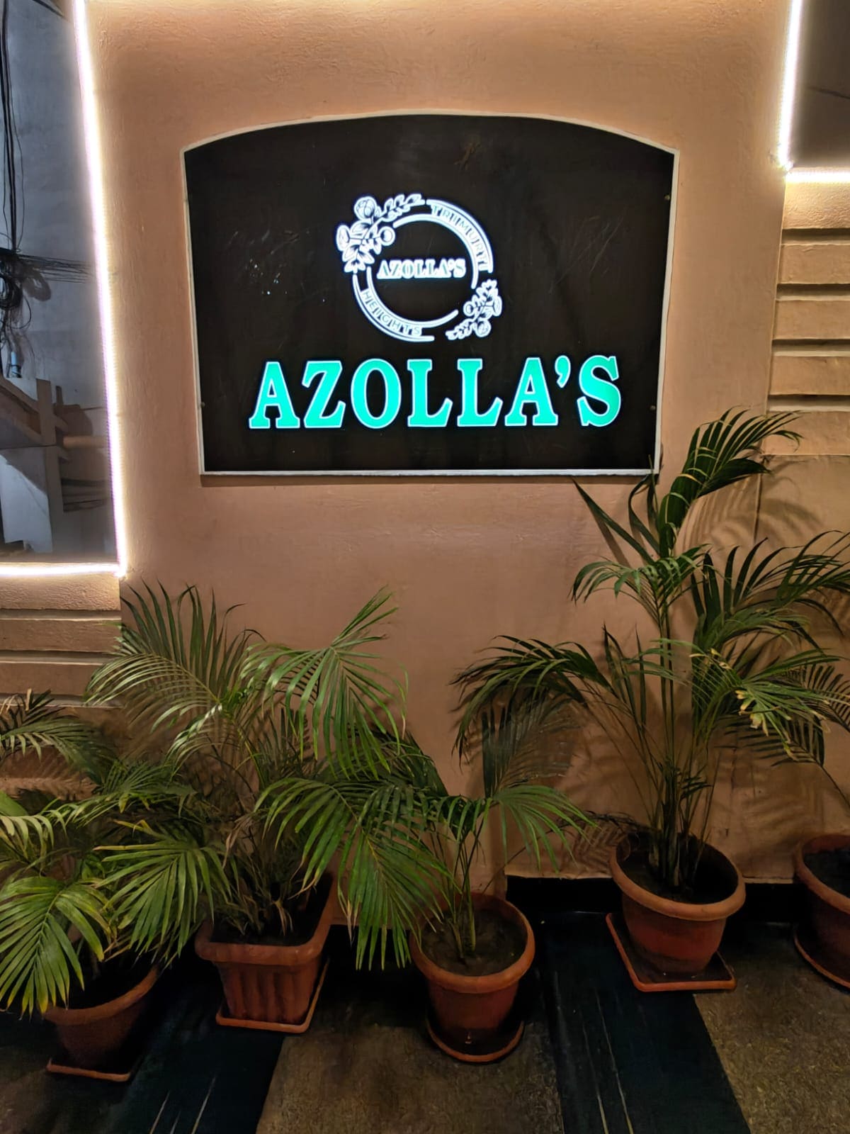 WhatsApp Image 2026-02-12 at 09.07.01